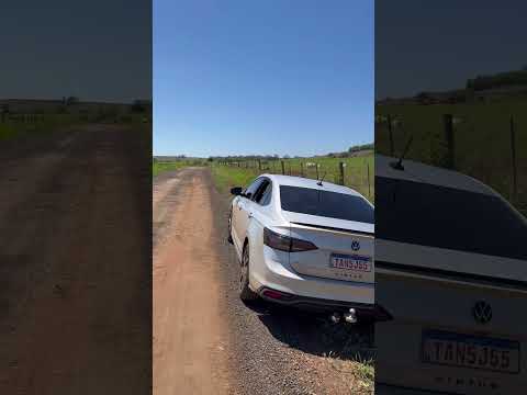 A boiada em São João do Ivaí Pr