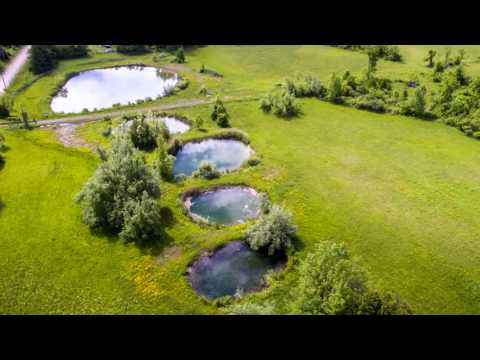 Con 6 Whs Pt Lot 2 Road, Caledon