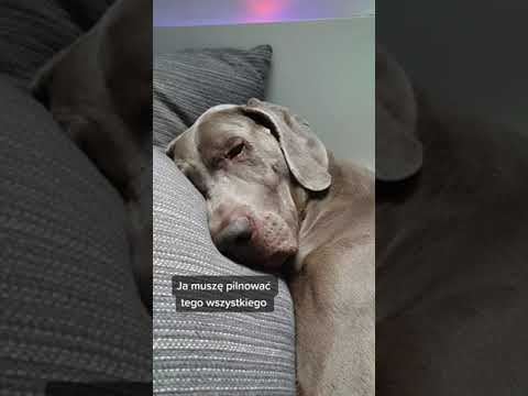 I don't have to work... #shorts