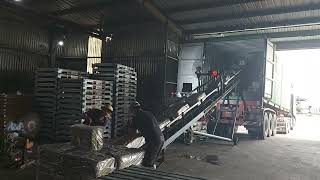 MV CT384- EGHU3413443