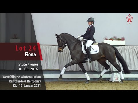 Winterauktion Reitpferde & Reitponys Lot 24 Fiona Stute v. Fashion Maker -   Florestan I