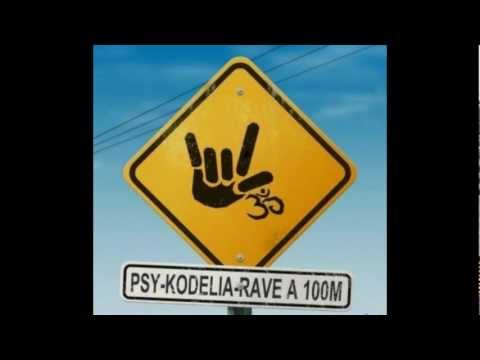 Psychotic Micro - Break The Floor [HQ]