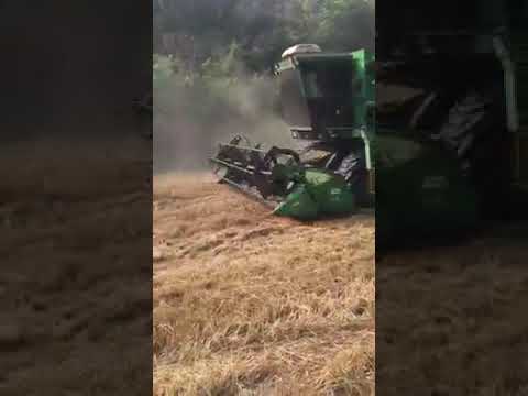 colhendo trigo no rio bom Paraná Valério rech