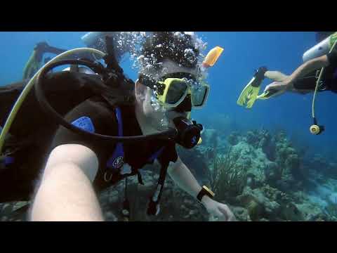 Angel City Dive - Bonaire