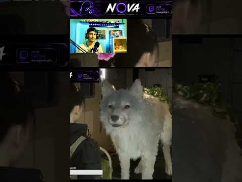 Video cover