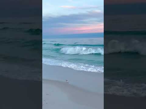 Di pantai ini, birunya laut biru laut memukau