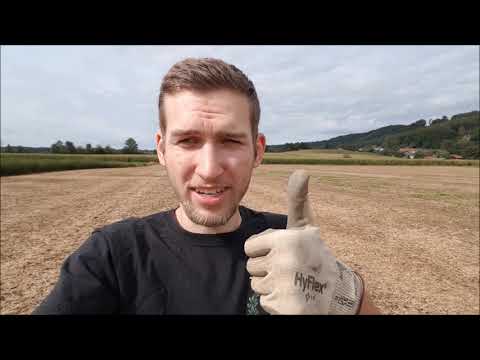 Der Bayern Sondler Teil 182 - Ein schöner Jahresabschluss für 2020