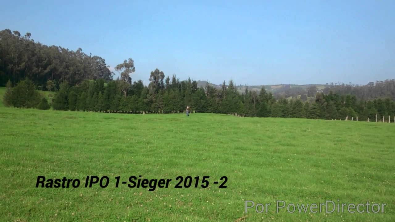 Rastro Ipo 1 Sieger Henry Melo