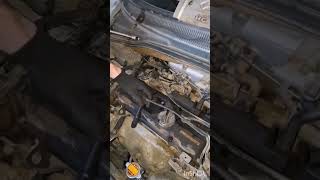 החלפת מצתים (פלאגים)