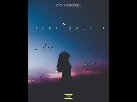 Anda solita cv33