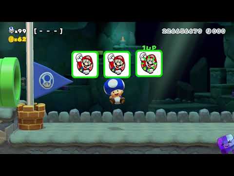 Super Mario Maker 2 🔧 Endless Challenge 8073 - 8080