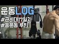 [운동LOG]등운동 루틴::근비대17일차::얼마나 좋아졌을까?