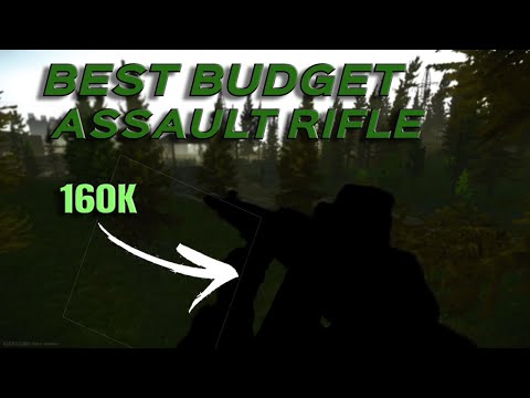 Insane Budget 5.56 Assault Rifle | Escape From Tarkov .13