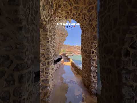 Sharm el Sheikh  #shorts #egypt #travel