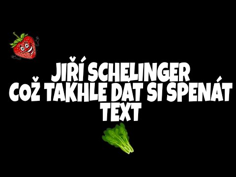 JIŘÍ SCHELINGER- COŽ TAKHLE DÁT SI ŠPENÁT (TEXT) | Johny Jahoda_CZ
