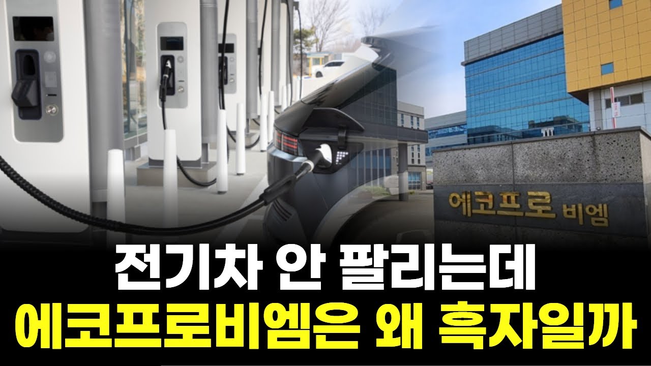 전기차 안 팔리는데 에코프로비엠은 왜 흑자일까