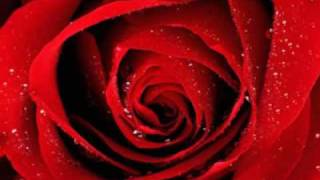 LOS SECRETOS (NO ME IMAGINO)