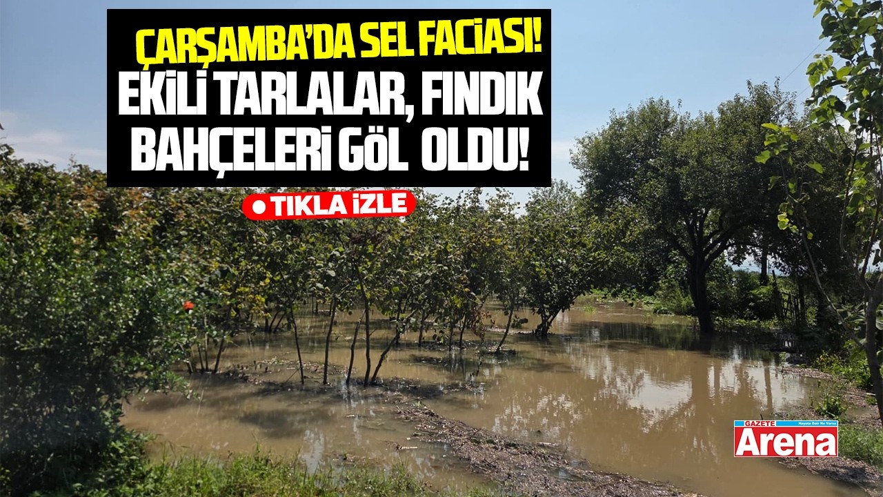 Çarşamba'da şiddetli sağanak hayatı durma noktasına getirdi