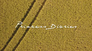 Princess Diaries Music Video
