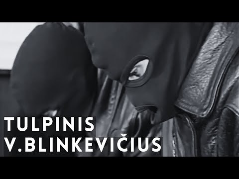 Apie Tulpinį V. Blinkevičių, kuris buvo kaltinamas G. Sereikos nužudymu