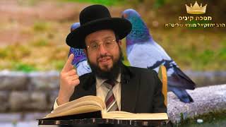 מסכת קינים תשפ"ד קן מפורשת פרק ג' משנה א' (הרב יחזקאל מוצא) - התמונה מוצגת ישירות מתוך אתר האינטרנט יוטיוב. זכויות היוצרים בתמונה שייכות ליוצרה. קישור קרדיט למקור התוכן נמצא בתוך דף הסרטון