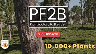 PlantFactory to Blender video thumbnail