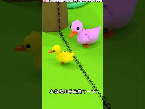 Cute Duck ❤️🐣~New Viral Gadgets/ Smart Appliances/ Kitchen Utensils/ Home Inventions #shorts