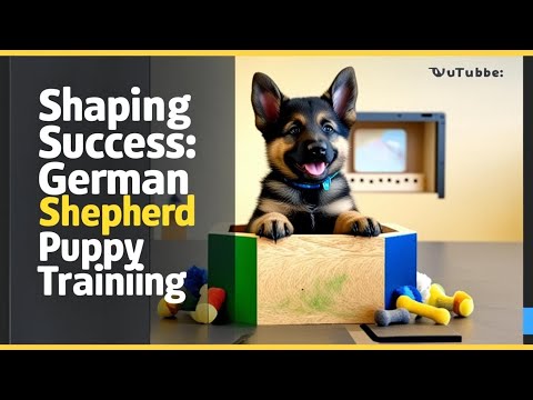 Mastering The Art Of Shaping Your Dogs Behaviors Utilizing The Shaping Box…