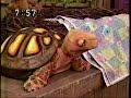 Featured Scene Ep 4026 English Audio International Edit
