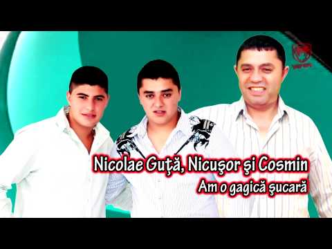Nicolae Guta & Nicusor & Cosmin - Am o gagica sucara