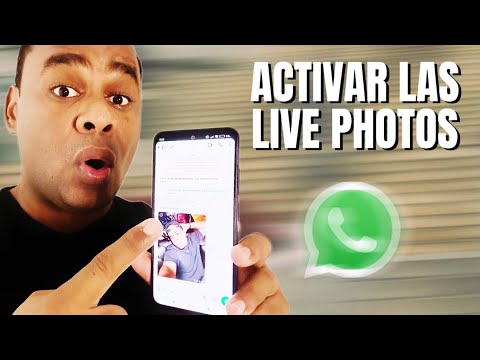 WhatsApp lanza Live Photos: imágenes con movimiento y sonido en tus chats