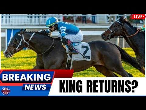 Buddy Diliberto Memorial: Gigante Eyes Epic Repeat Win! 🔴 LIVE BREAKING NEWS