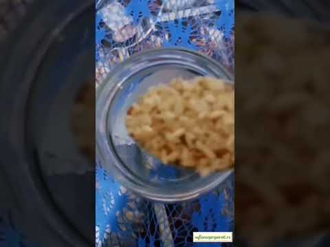 PIRINČANA VODA ČUDO ZA KOSU#prirodno #facecare #haircare @prirodnanegauzsofianne