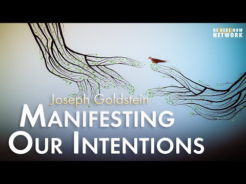Joseph Goldstein: Manifesting Our Intentions – Insight Hour Ep. 135