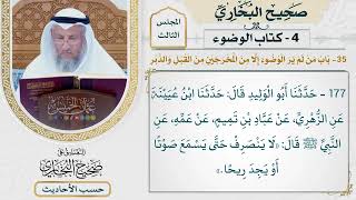 [177] حديث: لا ينصرف حتى يسمع صوتًا أو يجد ريحًا [كتاب الوضوء - باب من لم ير الوضوء إلا من المخرجين]