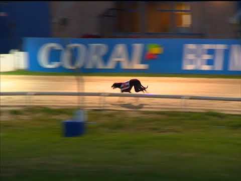 Coral Regency – Final (Hove 10/5/18)