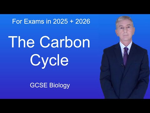 GCSE Biology Revision "The Carbon Cycle"