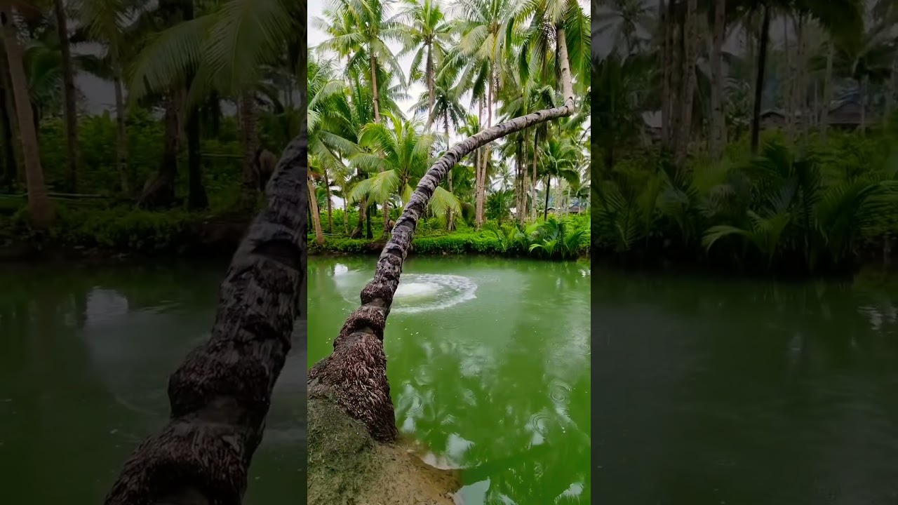 YouTube Short thumbnail