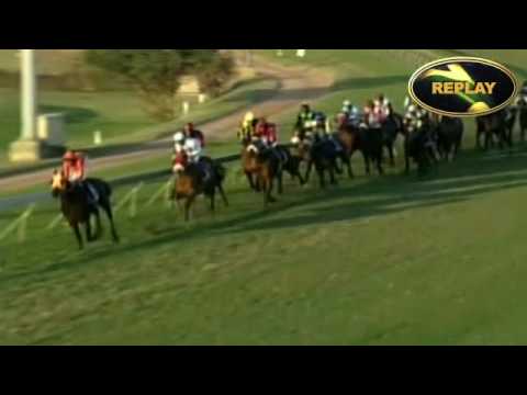 CANON GOLD CUP GR1 : ANCESTRAL FORE