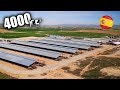 A FARM OF 4000 COWS