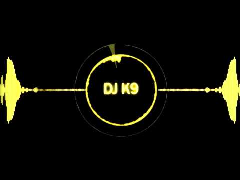 Martin Garrix - Animals & Icona Pop - I love it (KYRAX Mashup)