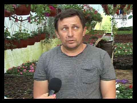 RTV Šumadija - Radiša Nikolić cvećar