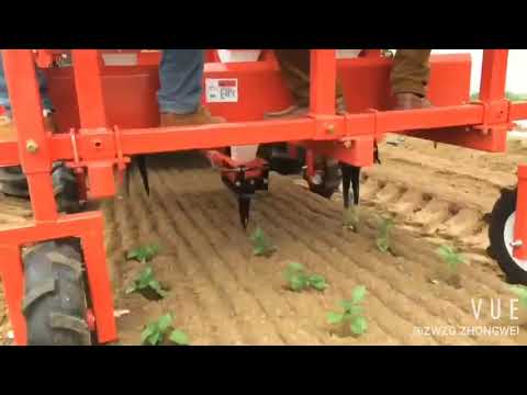 3-row pepper seedling transplanter vegetable transplanter