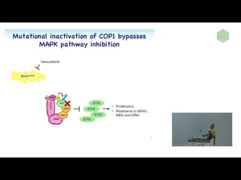 EMBL Keynote Lecture - Ubiquitin mediated regulation of transcription factor stability, Vishva Dixit