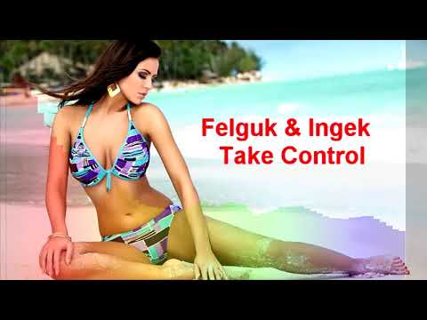 Felguk & Ingek - Take Control