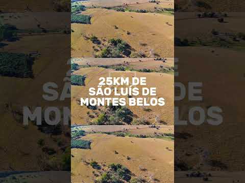 Imóvel Rural à venda próximo a São Luís de Montes Belos - Go