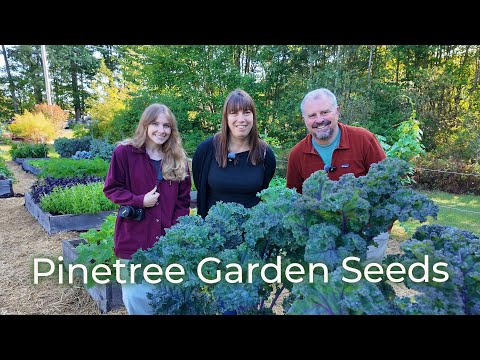 Inside Pinetree Garden Seeds | A Gardener’s Dream Stop