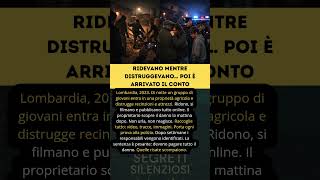 VANDALI RIPRESI   Segreti Silenziosi