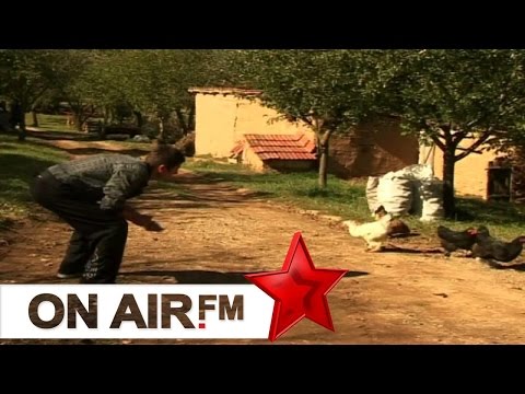 Cima, Dreni, Lulia - Pelen mos e vet