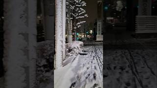 大雪となった広島市(2026年2月8日)